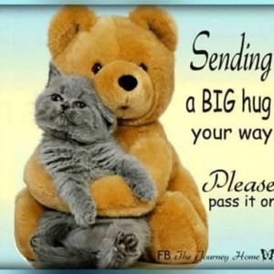 Meet your Posher, Donna